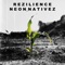 W E _MISS YOU (feat. Talibah Begay) - Neon Nativez lyrics