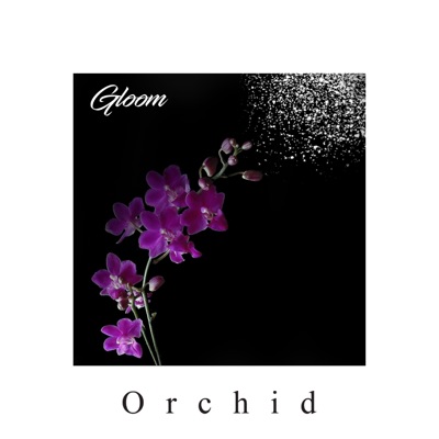 Orchid - Single