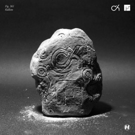 Kallisto Mefjus & Camo & Krooked