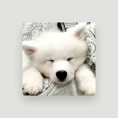Listen to Samoyed Rintaro, watch music videos, read bio, see tour dates & more!