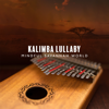 Morning Nature Sounds - African Sound Therapy Masters