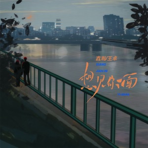 想见你一面 - Single