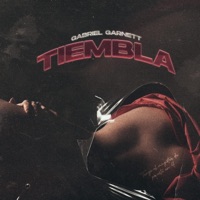 tiembla (feat. gabriel garnett) - Single - Blinder Records