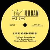 Ya Can't Separate Me (I'm Determined) [Sean McCabe Vocal Mix] artwork