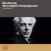 String Quartet No. 6, Sz. 114: I. Mesto - Più mosso, pesante - Vivace artwork