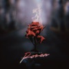 Rosen - Single