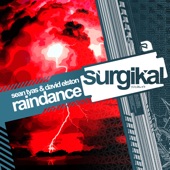 Raindance artwork