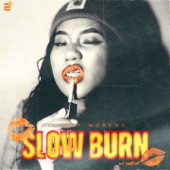 Slow Burn artwork