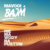 Nie Ma Wody Na Pustyni (MAVOOI Remix) artwork