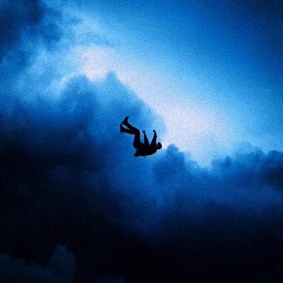 Falling For You (feat. NerDØ) - Single