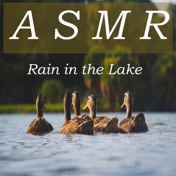 ASMR Rain in the Lake