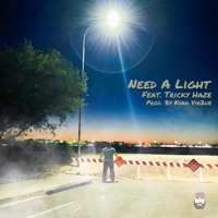 Need a Light (feat. Tricky Haze & King Vir2ue) - Single - Joelid