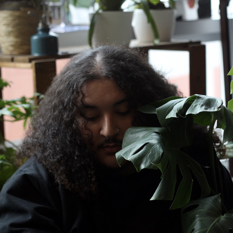 Pnpple - Rock With You