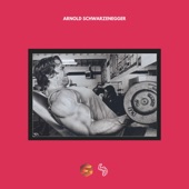 Arnold Schwarzenegger (Motivational) artwork