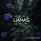Mandevilla - Lianas lyrics