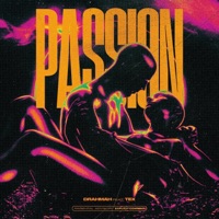 Passion (feat. Tex) - Single - Drahmah