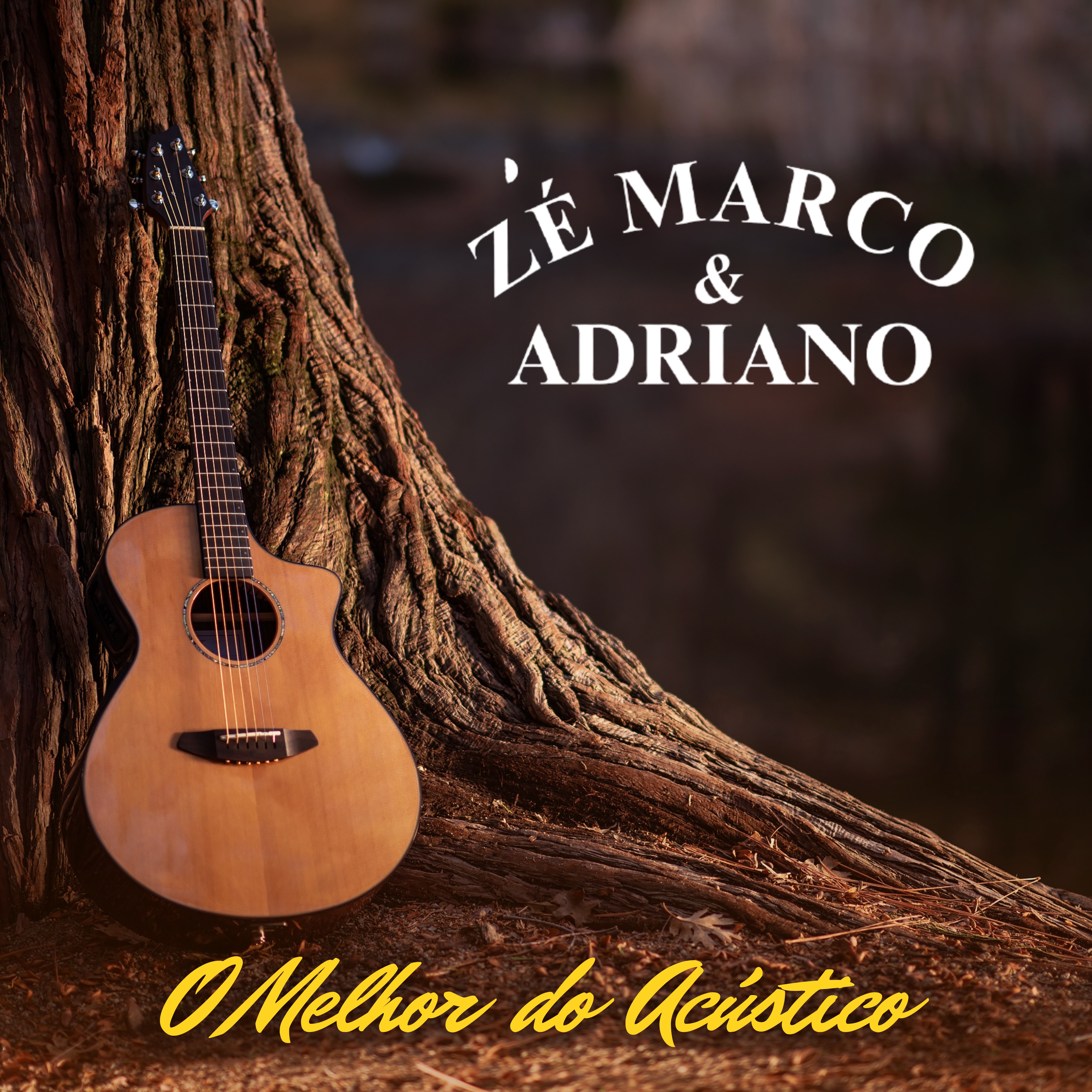 O Melhor do Acústico