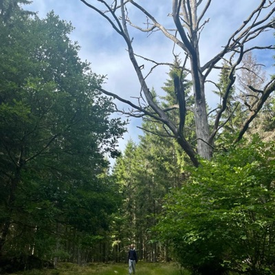 verlier dich nicht - EP