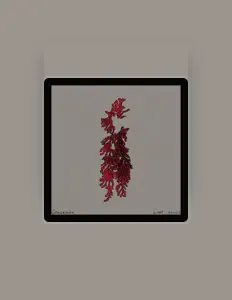 Listen to Graceada, watch music videos, read bio, see tour dates & more!