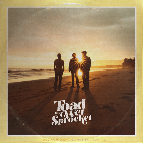 Toad the Wet Sprocket - Apple Music