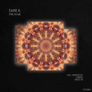 Fire in Me - EP