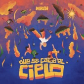 Que se Caiga el Cielo artwork