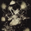 Sleep and Cry cover art