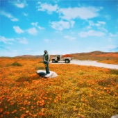 California Poppy 3 artwork