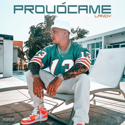 Provocame - Single