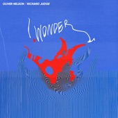 I Wonder artwork