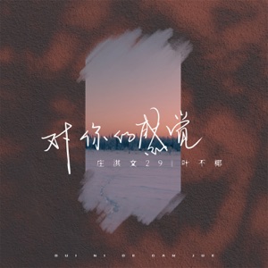 对你的感觉 - Single