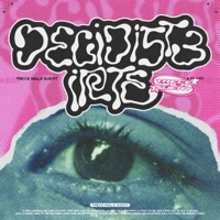 Decidiste Irte - Single - TRECE MALA SUERT
