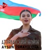 Azərbaycanım Mənim - Single