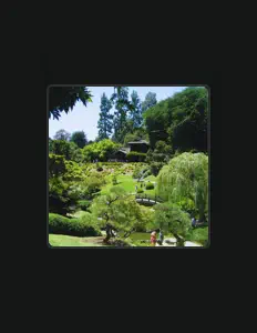 kid midを聴いたり、ミュージックビデオを鑑賞したり、経歴やツアー日程などを確認したりしましょう！