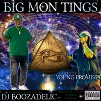 Big Mon Tings (feat. Young Promiss) - Single - DJ Boozadelic