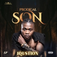 THE PRODIGAL SON - 1QUSTION