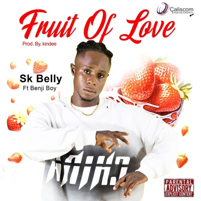 Fruit of Love (feat. BENJI BOY) - Single
