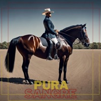 Paraíso Criminal - Single - El Jheke