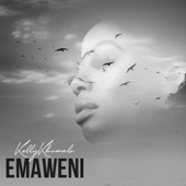 Emaweni artwork