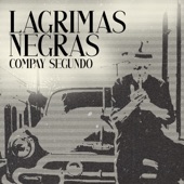 Lágrimas Negras (En Vivo) artwork