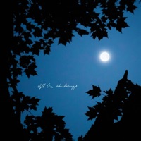 Night Time Wonderings - Single - Haquin