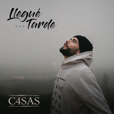 Llegué Tarde - Single