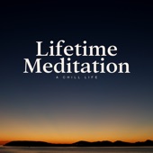 Lifetime Meditation artwork