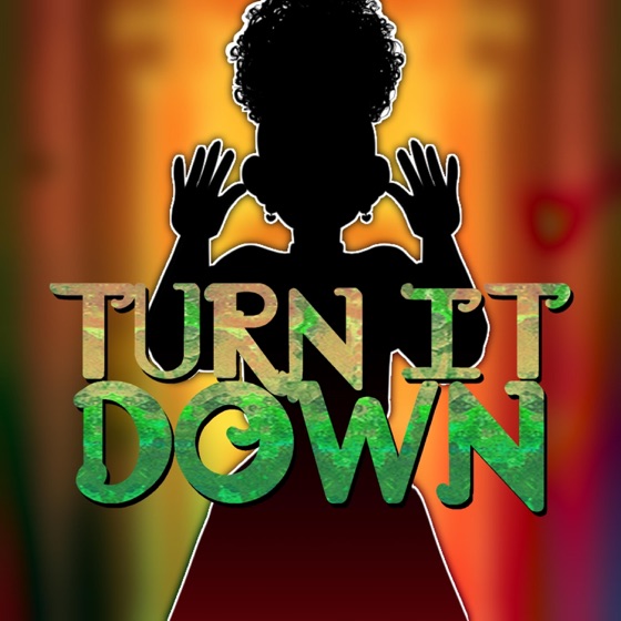 Cover artwork for Turn It Down