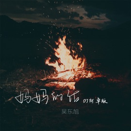 妈妈的话 (DJ阿卓版) Dongxu Wu