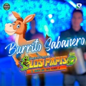 Burrito Sabanero artwork