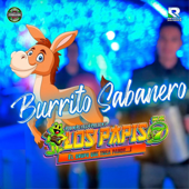 Burrito Sabanero song art