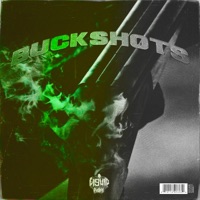 Buckshots - Single - L19U1D
