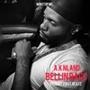 Bellin Bacc - Single