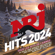 NRJ Hits 2024 - Multi-interprètes
